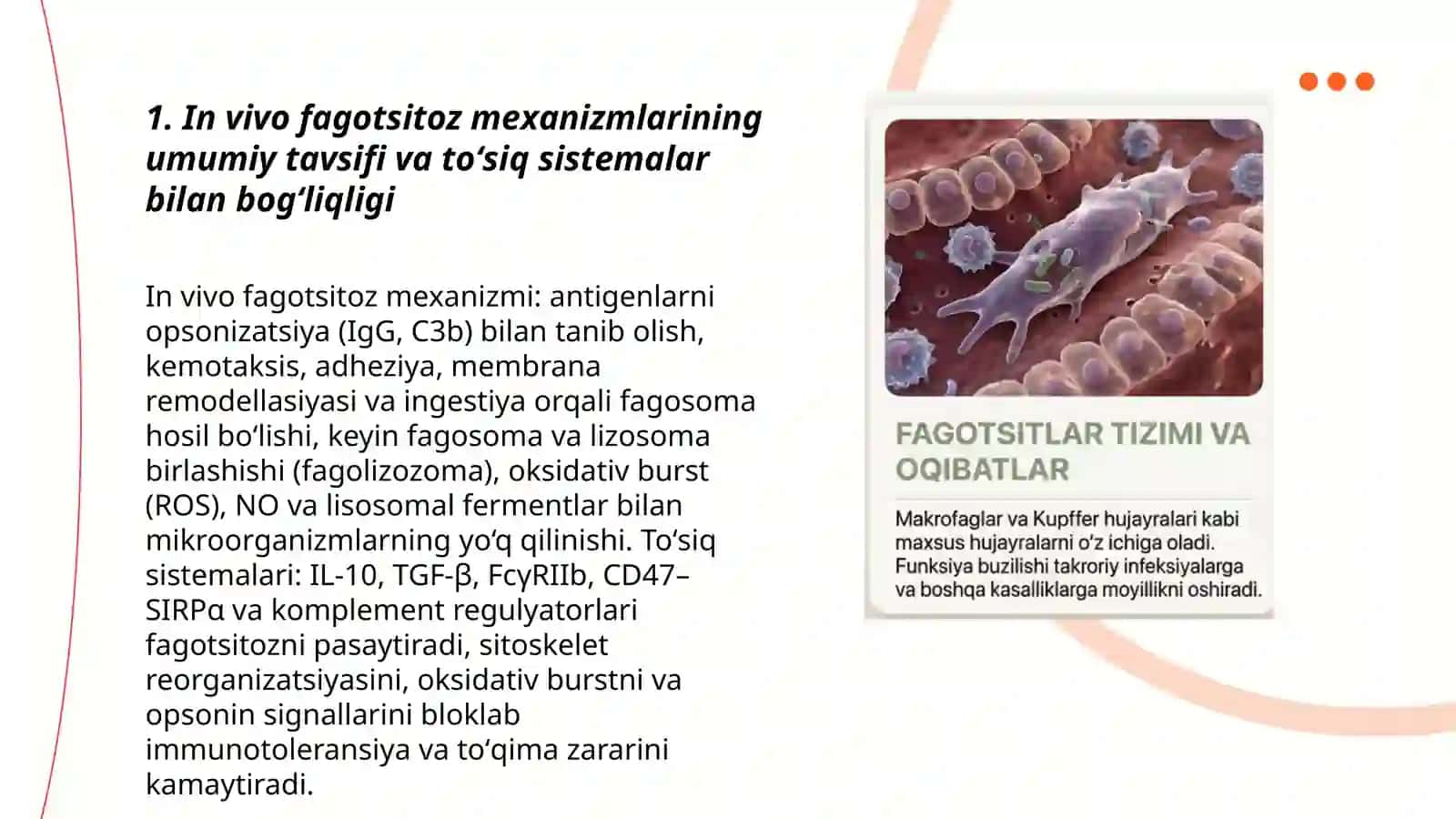 Reactivity of Immune System and the Role of Phagocytosis (in vivo phagocytosis) 3