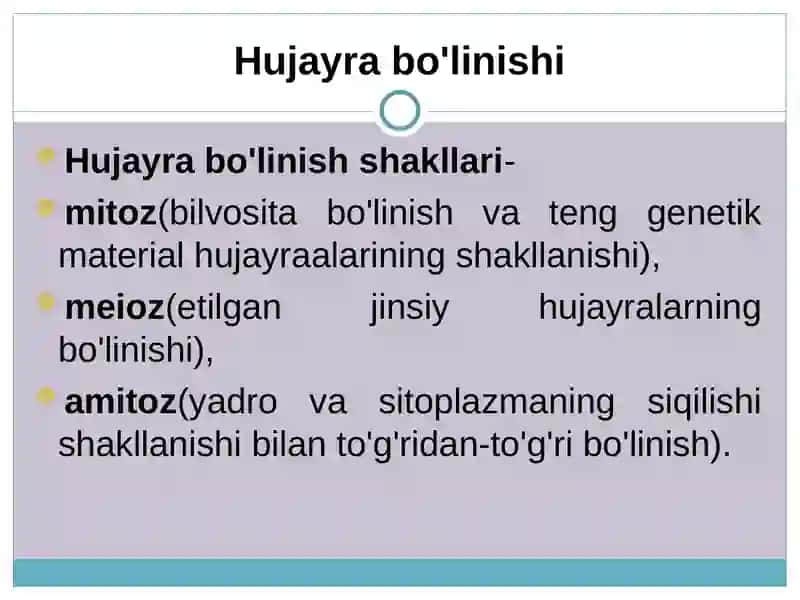 Hujayralarning bo’linish turlari.Mitoz. 3