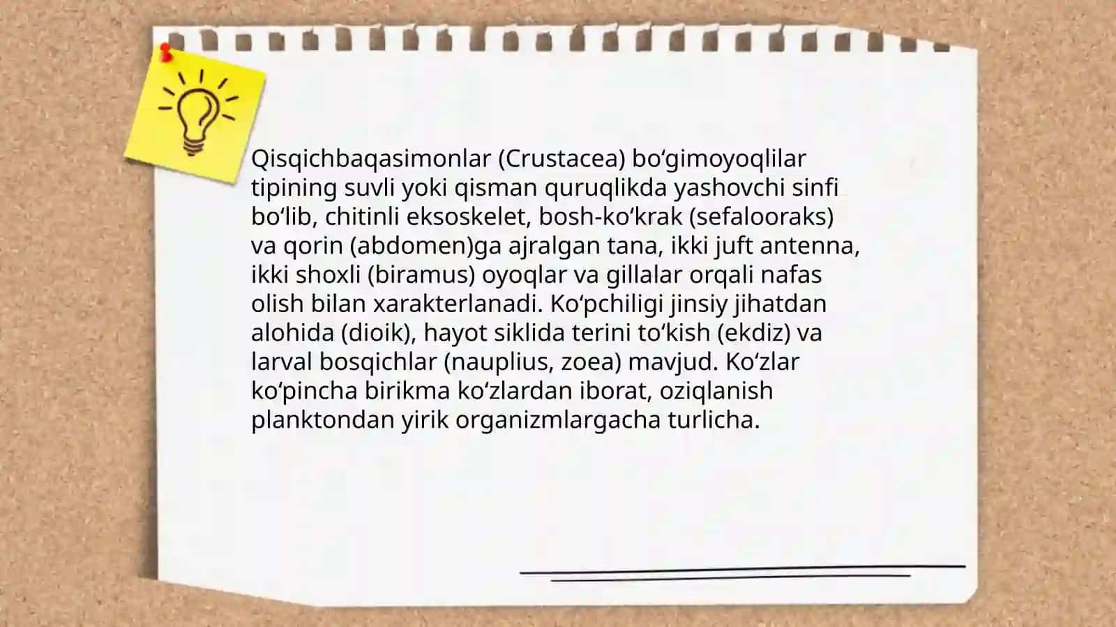 Boğimoyoqlilar tipi 3