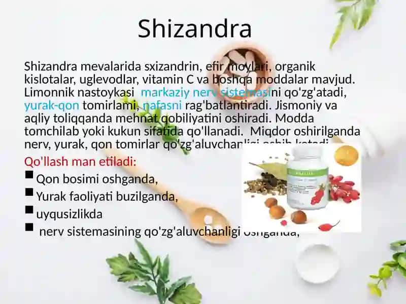 Shizandra (limonnik) 3