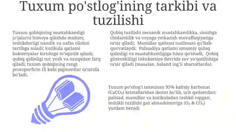 Tuxum po'stlog'ining tuzilmalari 3