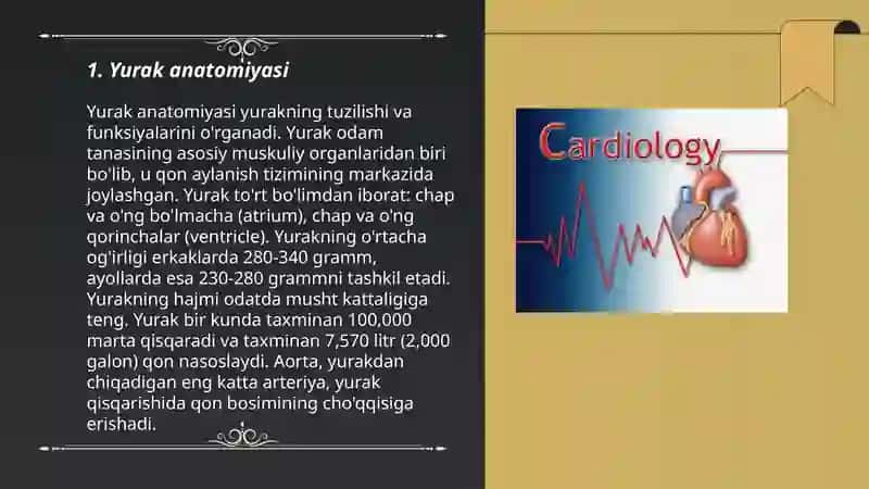 Yurak anatomiyasi 3