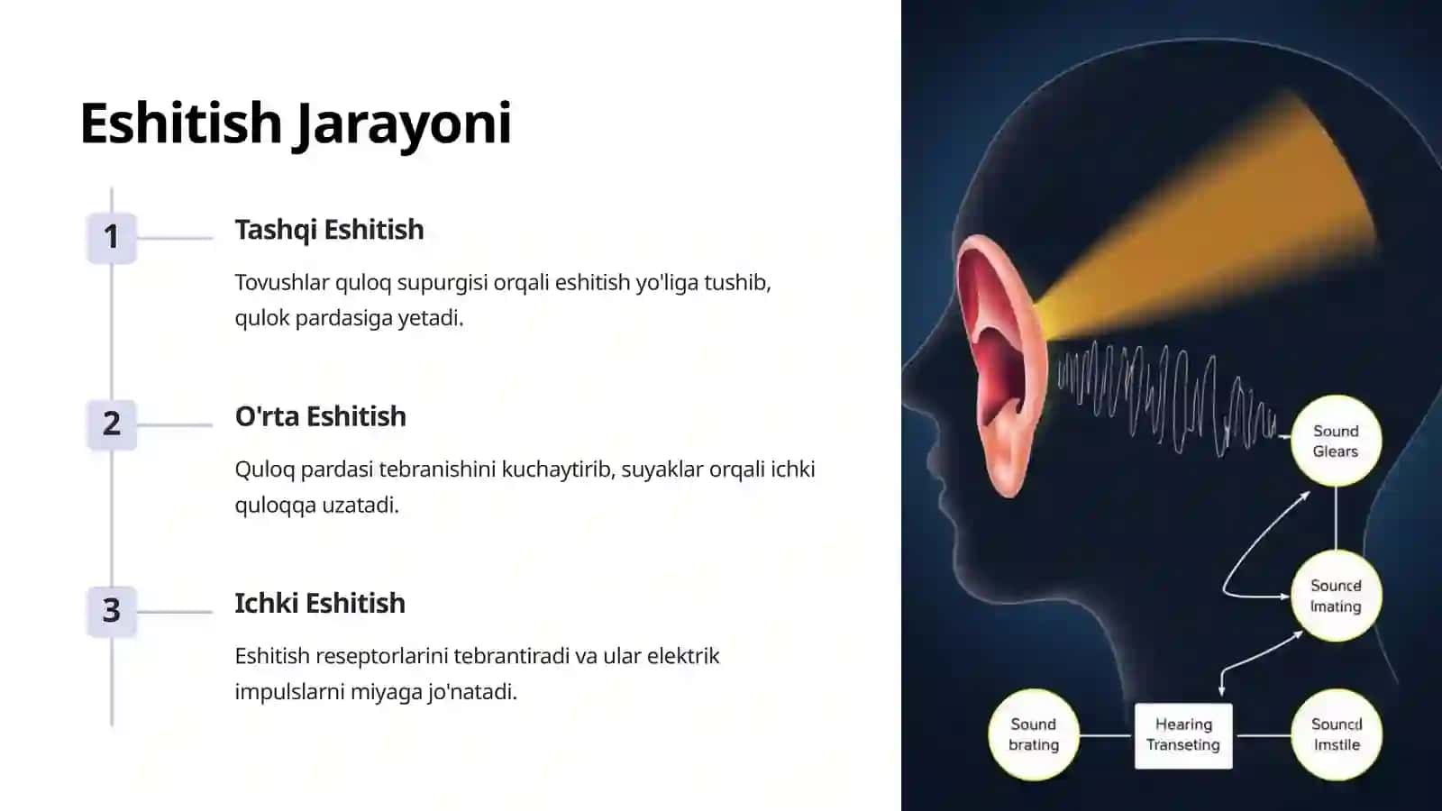 Eshituv va Muvozanat Azolari 3