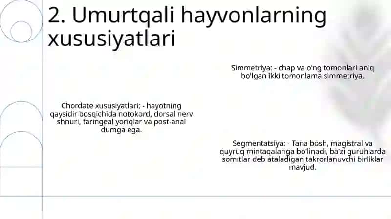 Umurtqalilar Zoologiyasi 3