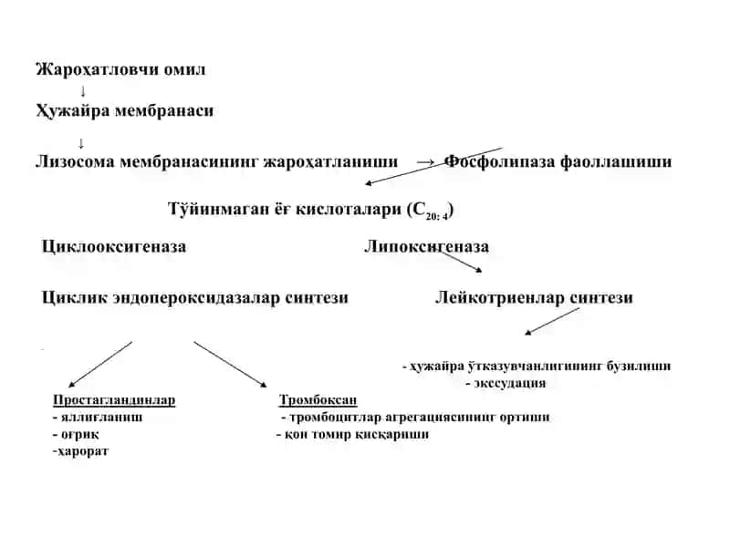 Яллиғланиш ва аллергияга қарши дори воситалари 3