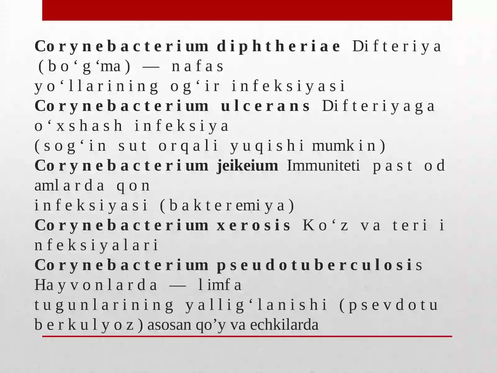 Korenobakteriyalar va Mikobakteriyalarning qo’zg’atuvchilari 3