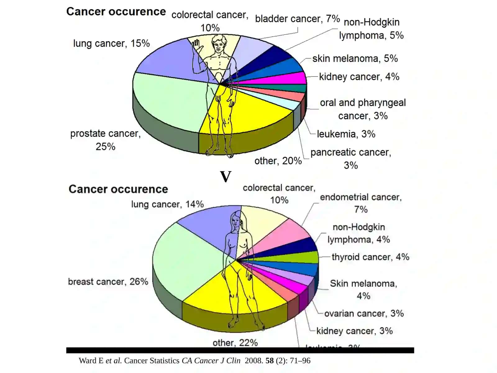 Class of diseases which a group of cells display uncontrolled growth, invasion and sometimes metastasis 3