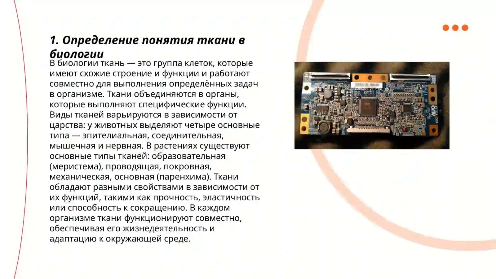 ткань, ее виды и функции в медицине 3