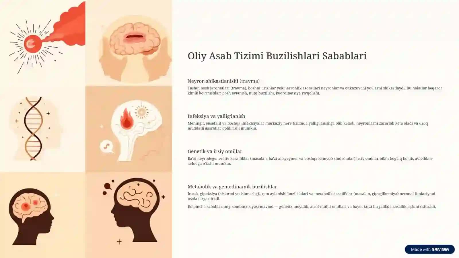 Oliy asab tizimi buzilishlari 3