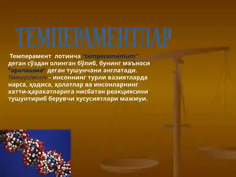 Темперамент 3