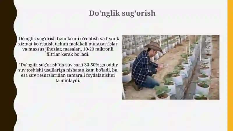 Tomchilab sug'orish texnologiyasi 3