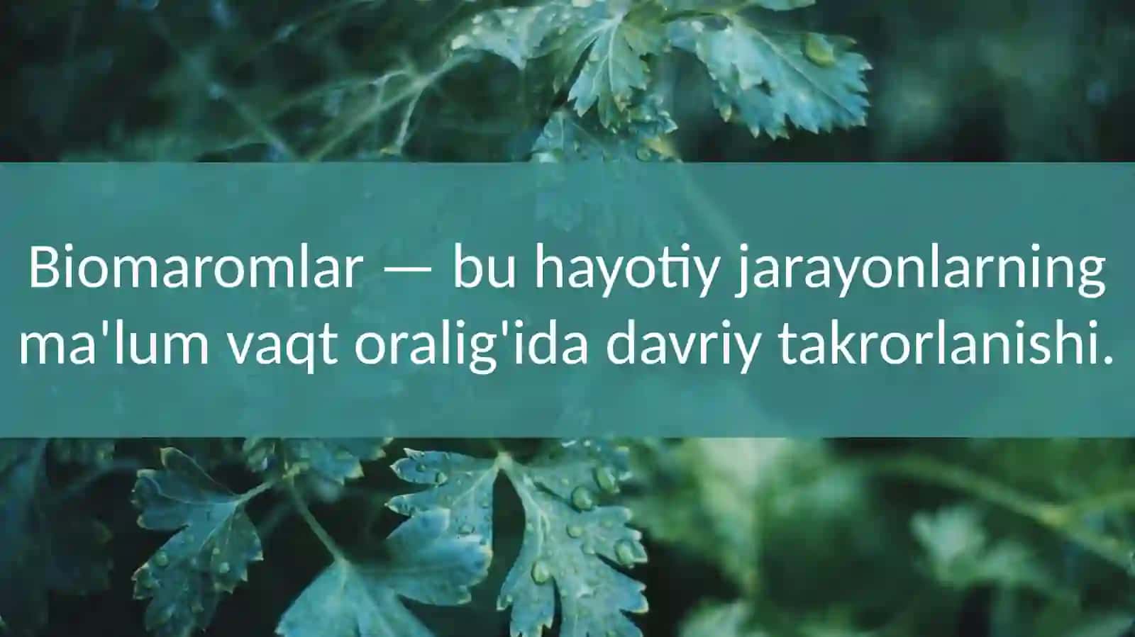 Biomlarvatirikorganizmlarninghayotiyshakllari 3