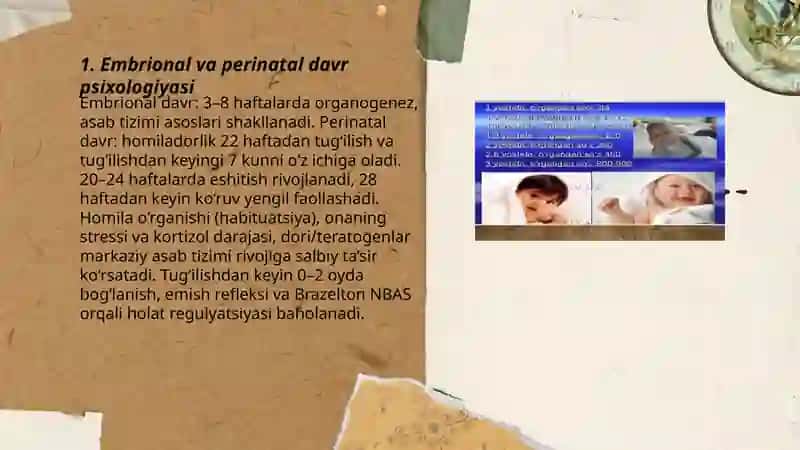 Ontogenez yosh davri psixologiyasi 3