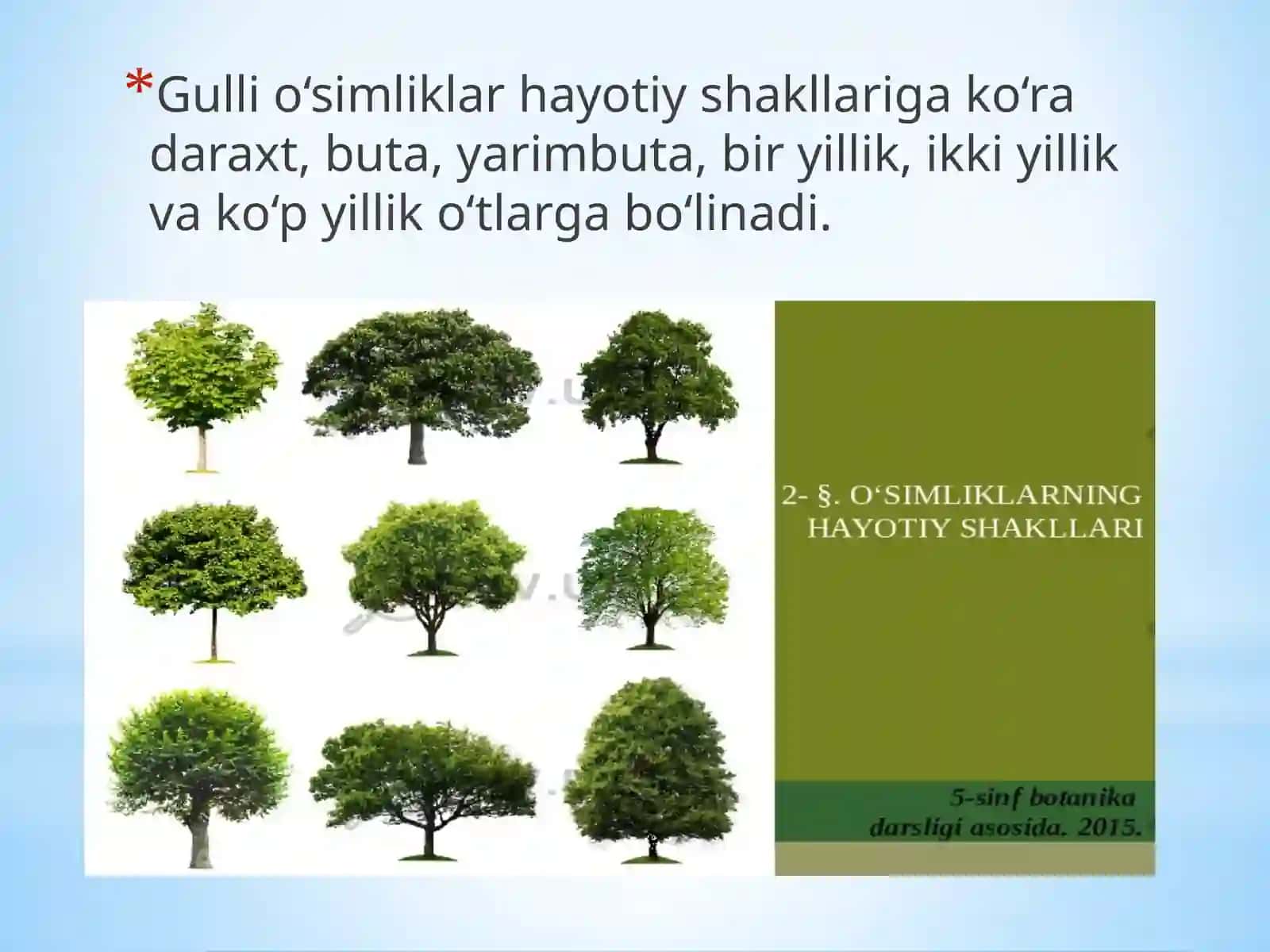 O`simliklarning hayotiy shakllari. Tuban o`simliklar va yuksak o`simliklar. 3