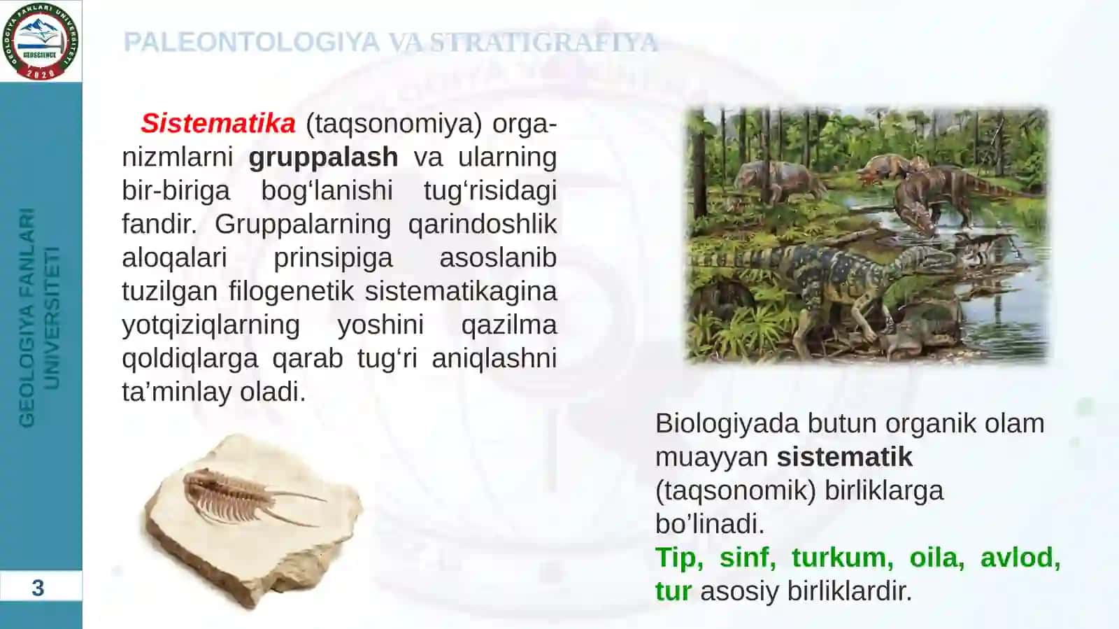Paleontologiya 3