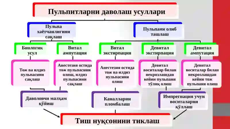 ПУЛЬПА ХАЁТЧАНЛИГИНИ САҚЛАШ УСУЛЛАРИ 3