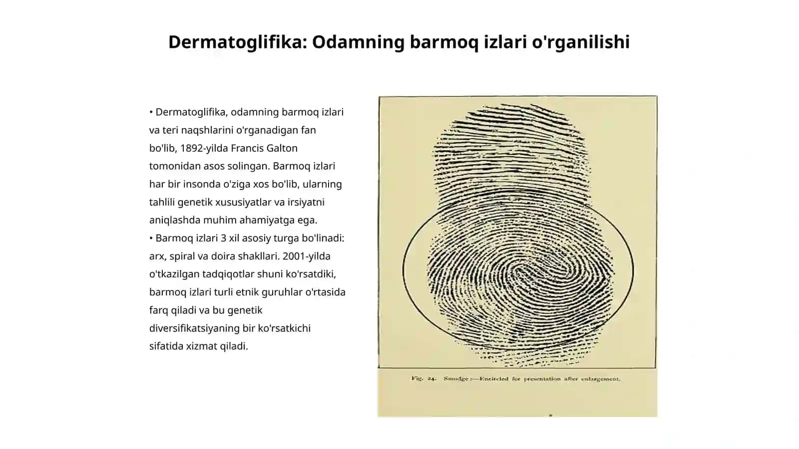 Dermatoglifika: Odamning barmoq izlari o'rganilishi 3