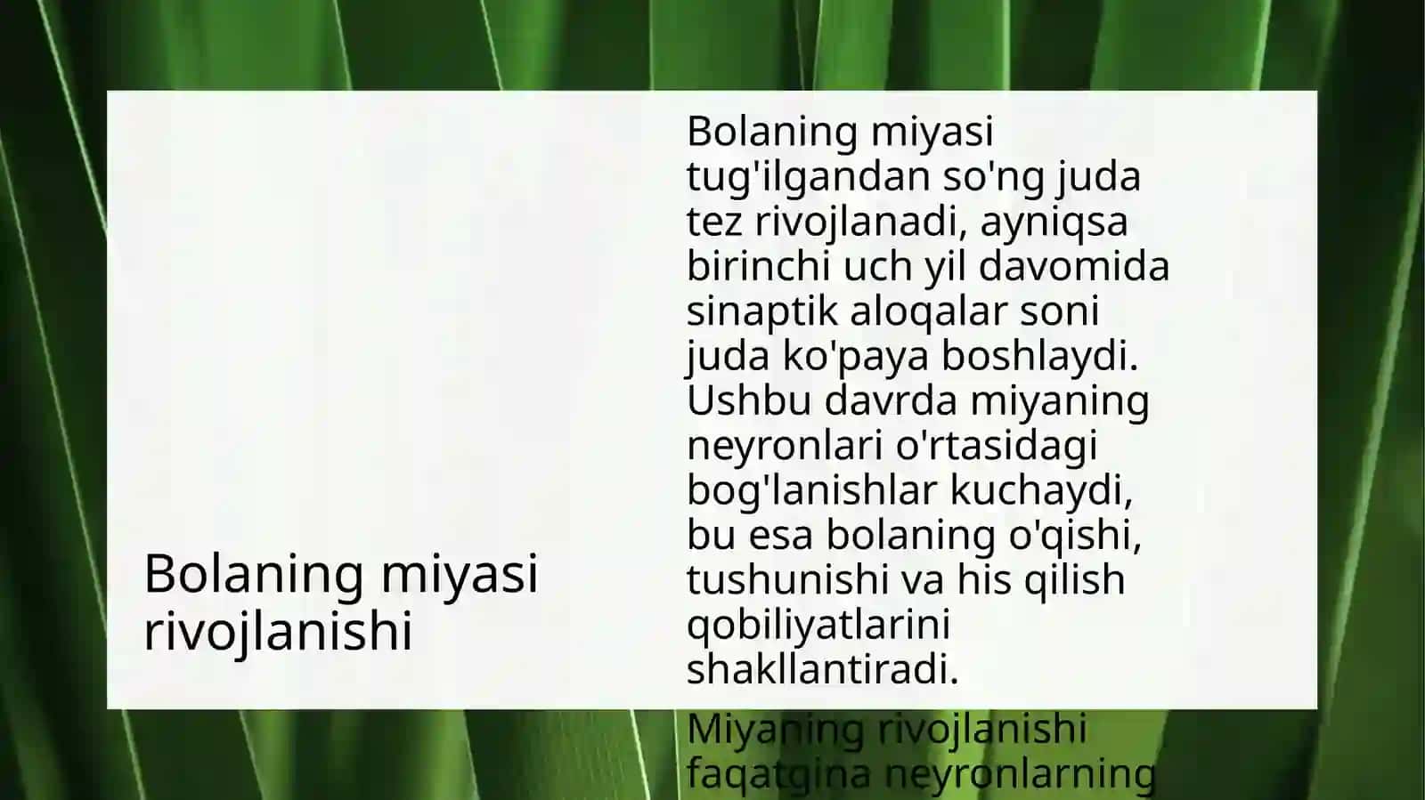 Bolalarning Neyropedagogik Xususiyatlari va Bilish Jarayoni 3