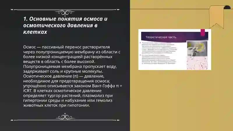 Роль осмоса и осматического явления в биологических системах 3