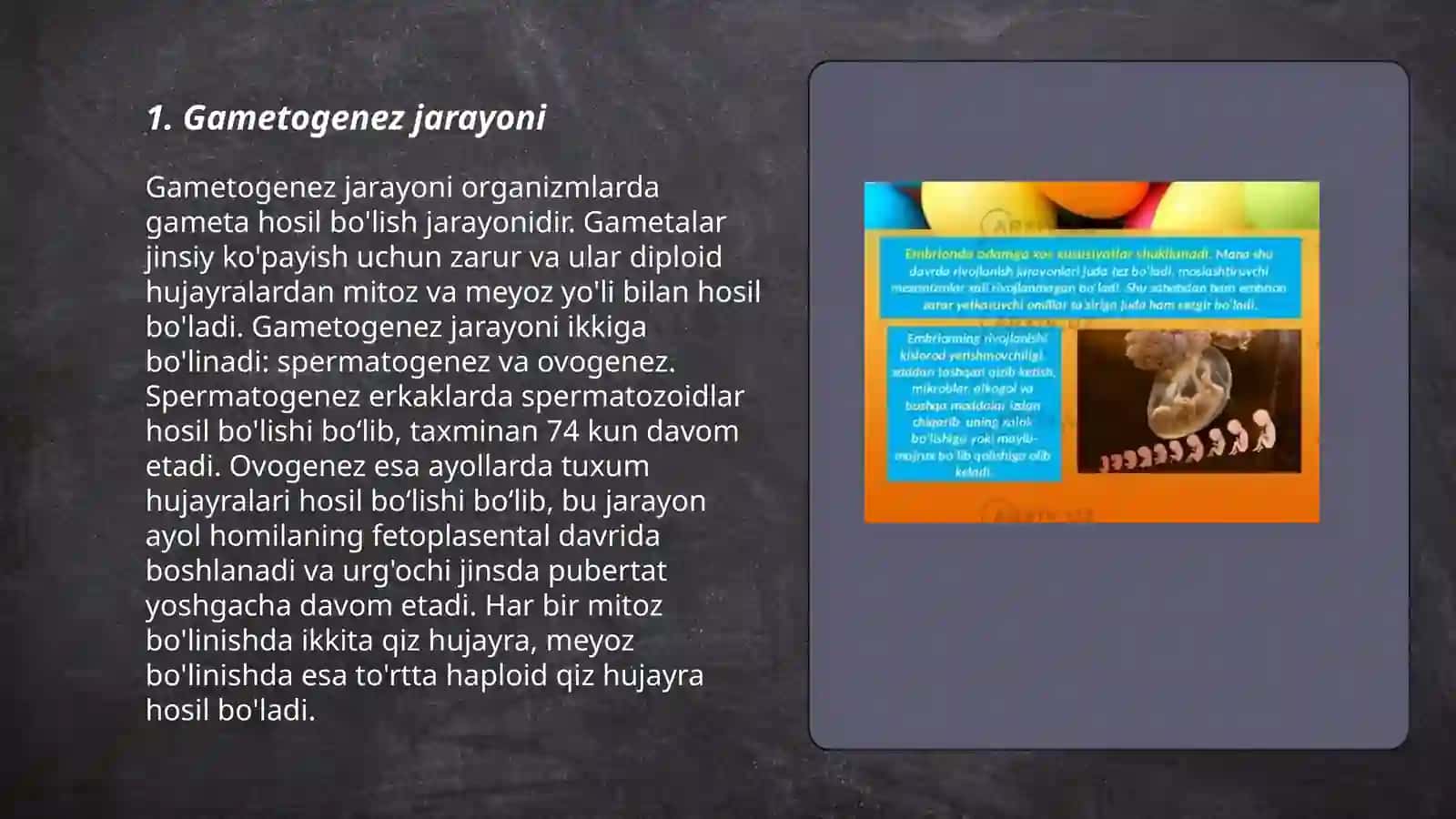 Proembrional rivojlanishning umumiy qonuniyatlari (progenez) 3