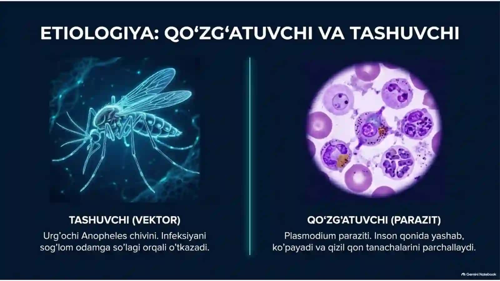 Bezgak (Malariya) — Etiologiya, Epidemiologiya, Klinika, Diagnostika va Davolash | 15 slayd 3