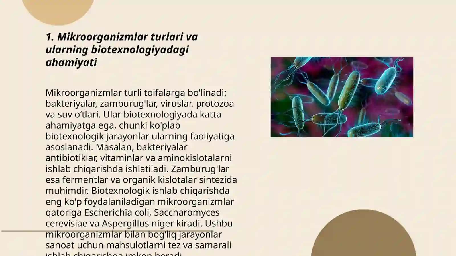 Mikroorganizmlar biotexnologiyasi 3