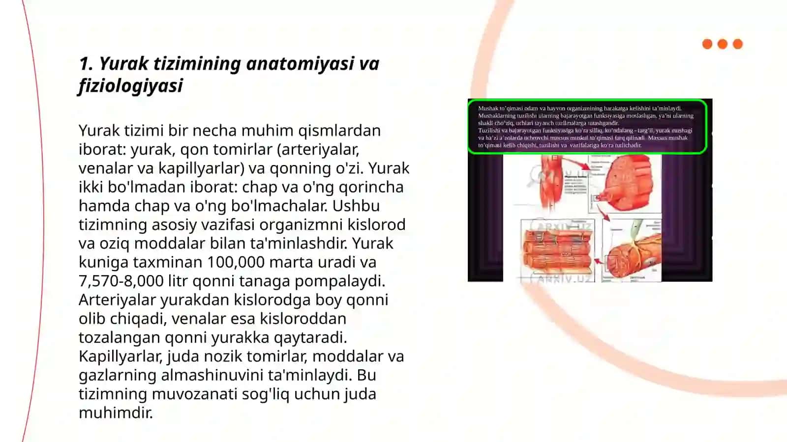 Yurak tizimining yoshga oid fiziologiyasi va gigiyenasi 3