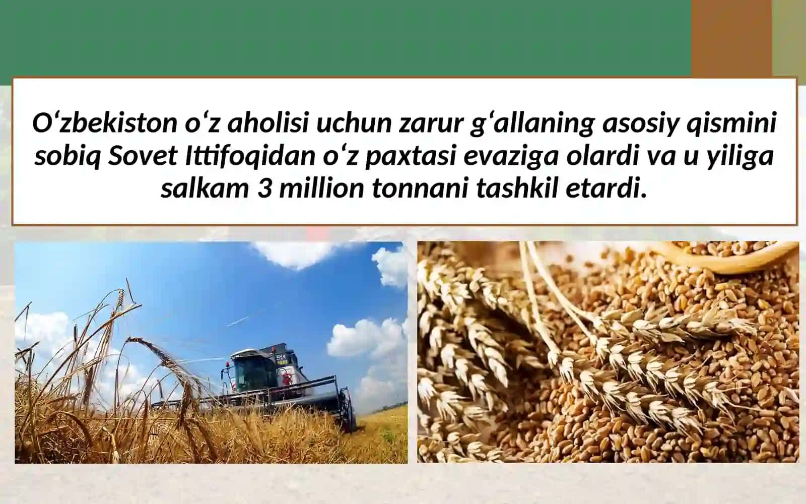 5-sinf Tarix fanidagi yutuqlar 3