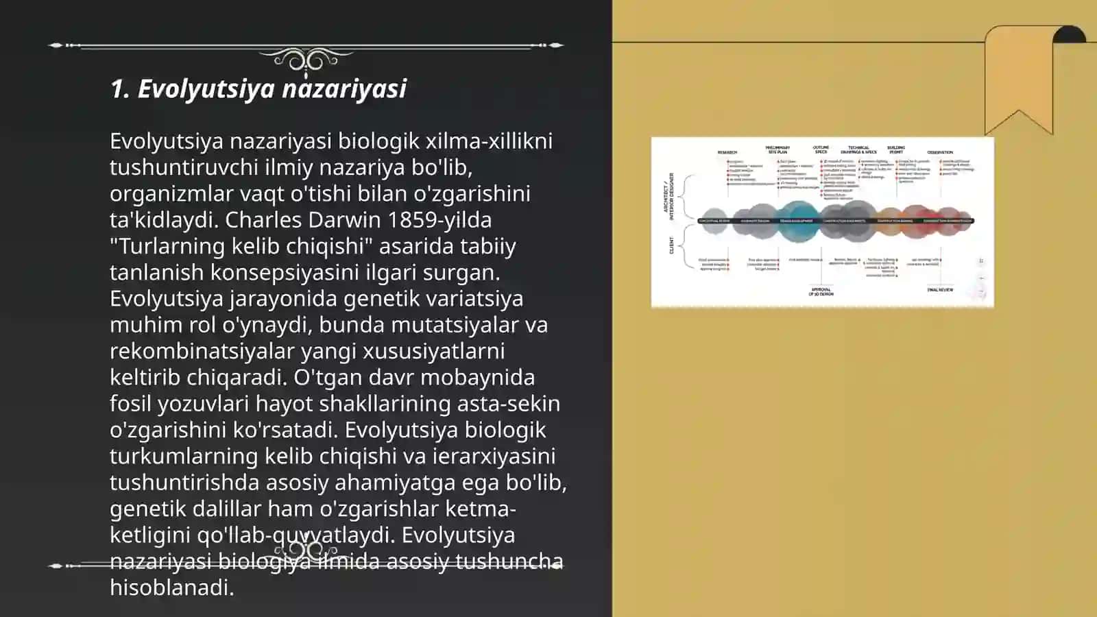 Biologiya tushunchalarini rivojlantirish nazariyasi 3