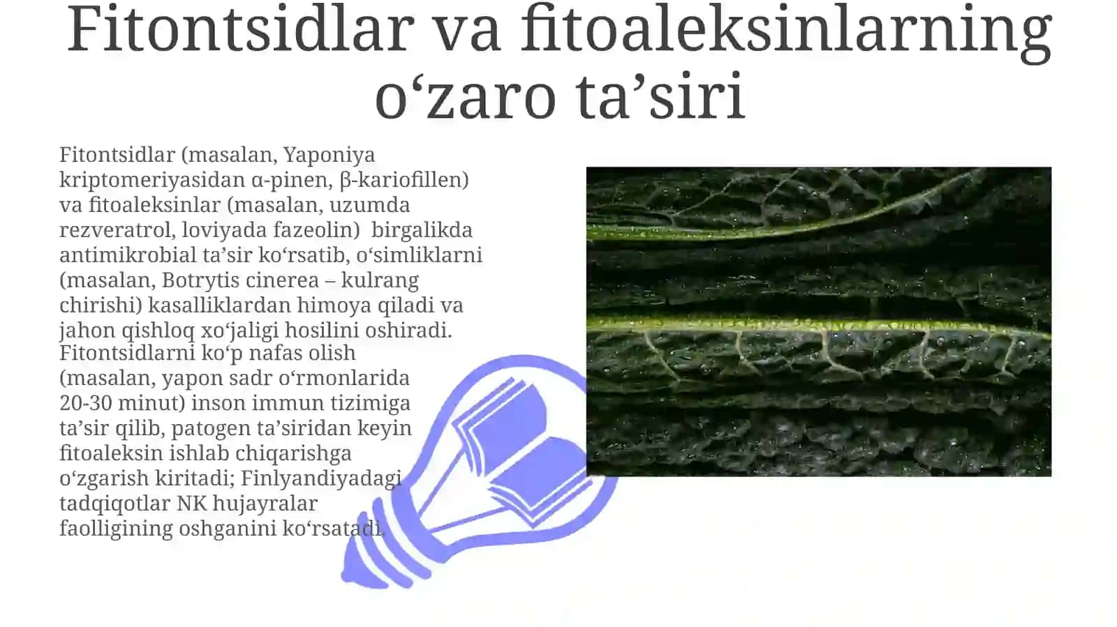 Fitonsidlarvafitoaliksidlar 3