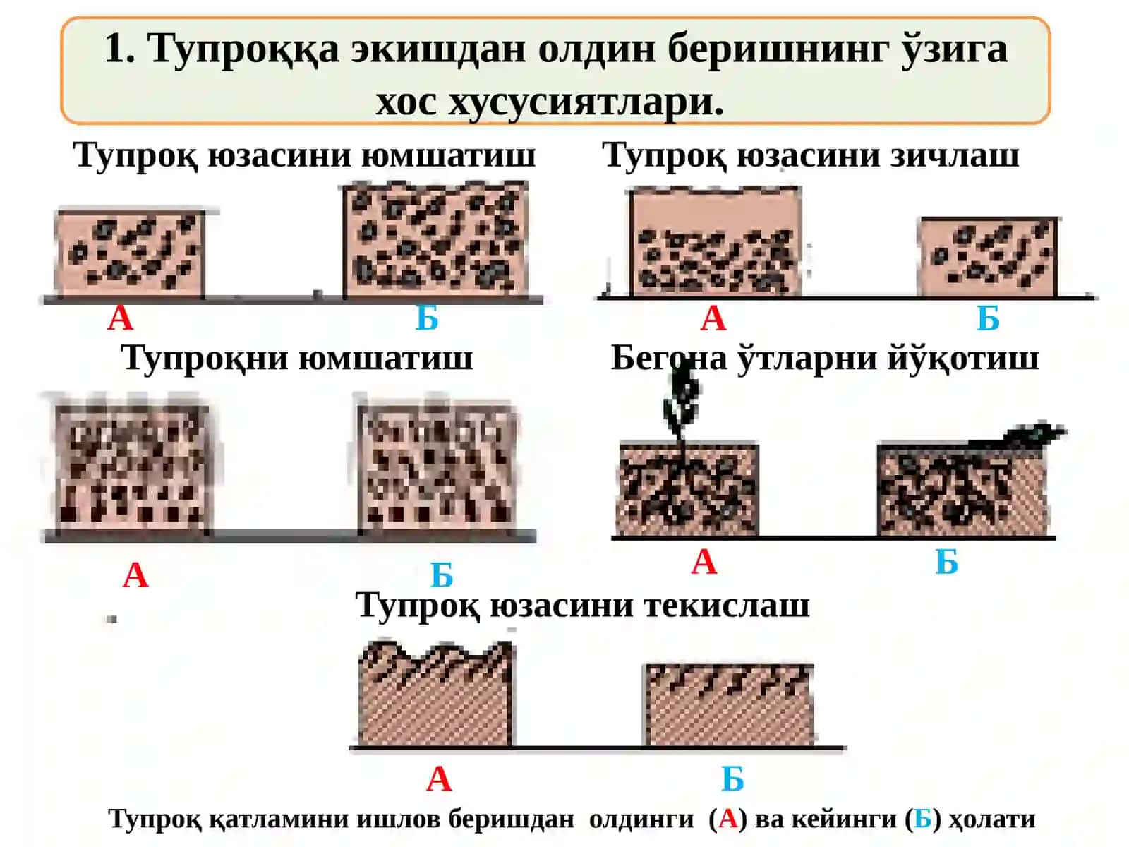 Тупроққа экиш олдидан ишловбериш 3