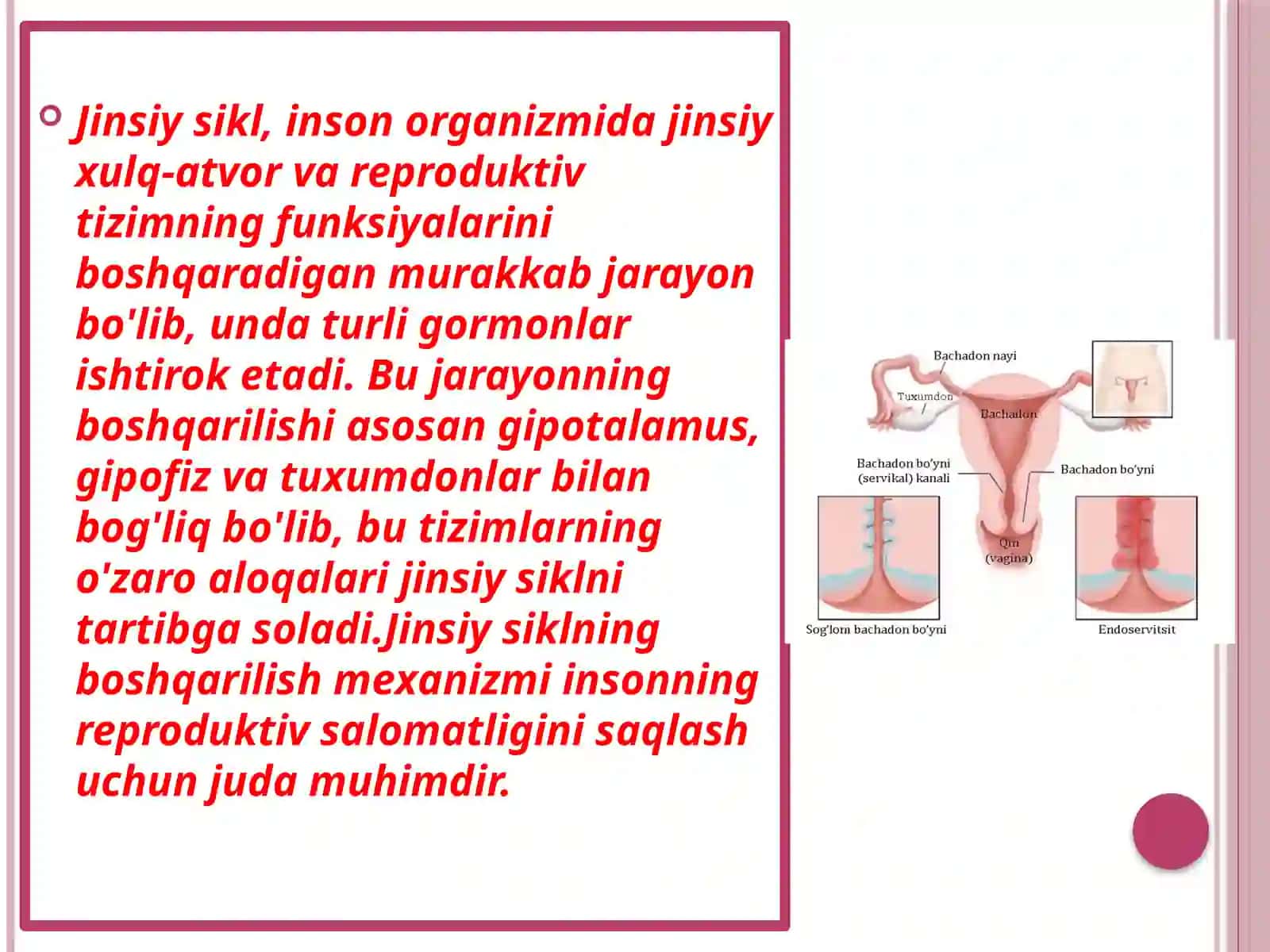 Jinsiysiklninggormanalboshqaruvimexanizimi 3
