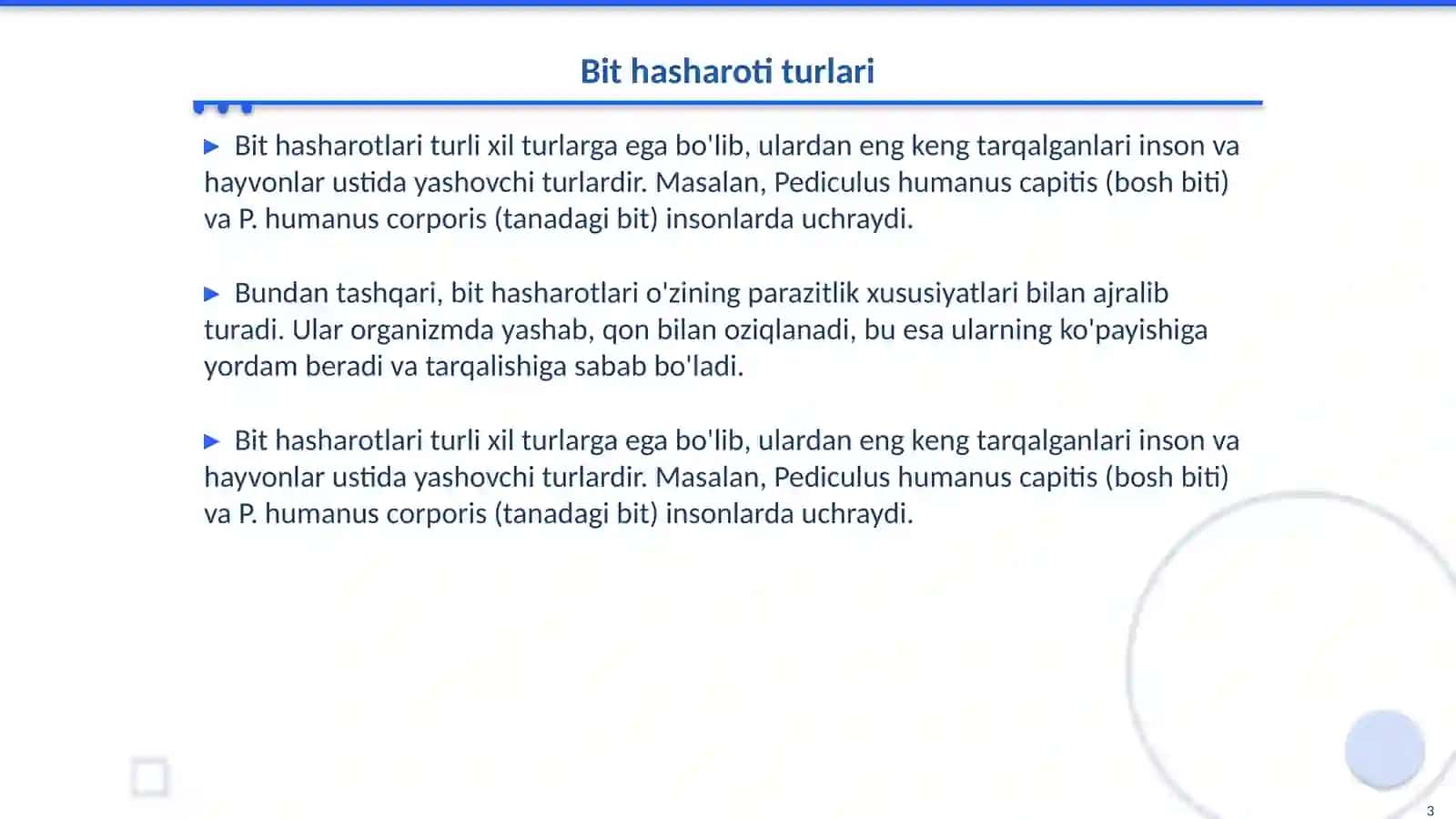 Bit hasharoti 3