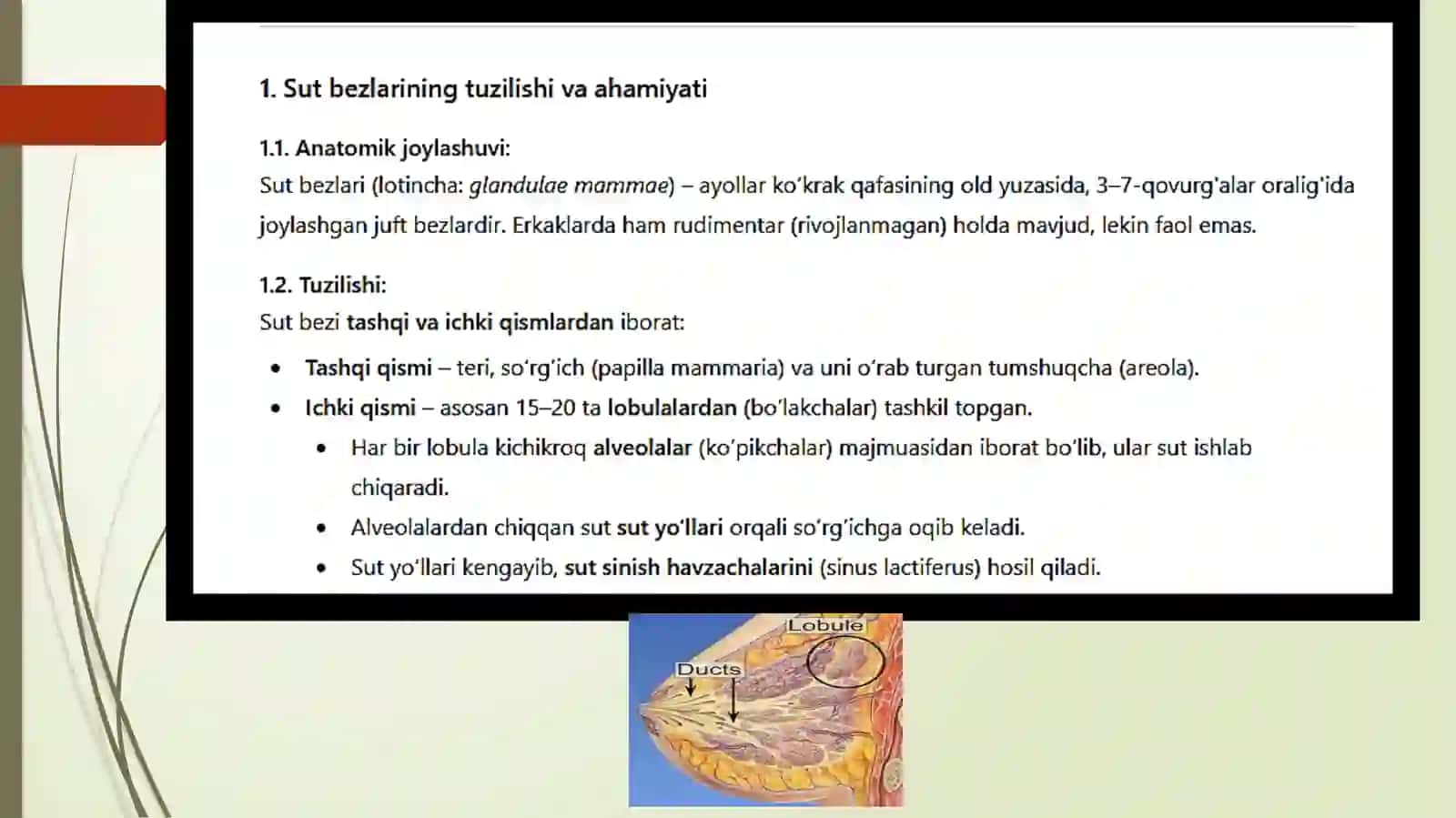Tibbiy biologiya va umumiy genetika fanidan Sutbezlarining yoshga qaraboʻzgarishi 3