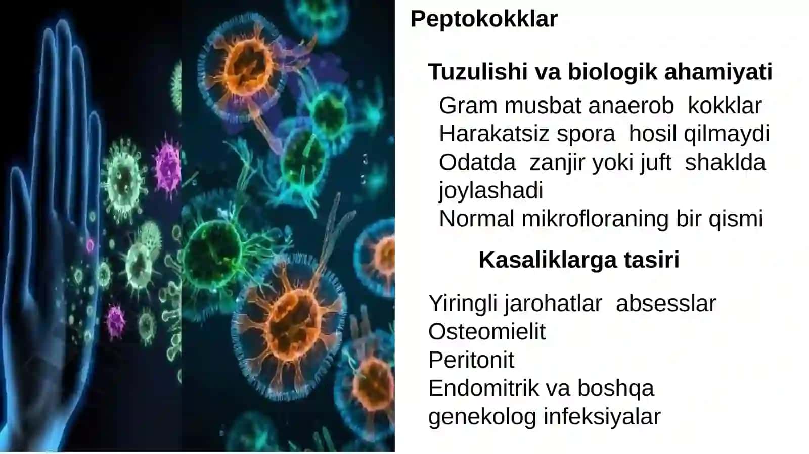 Mikrobiologiya Virusologiya Immunologiya fanidantayyorlangan 3