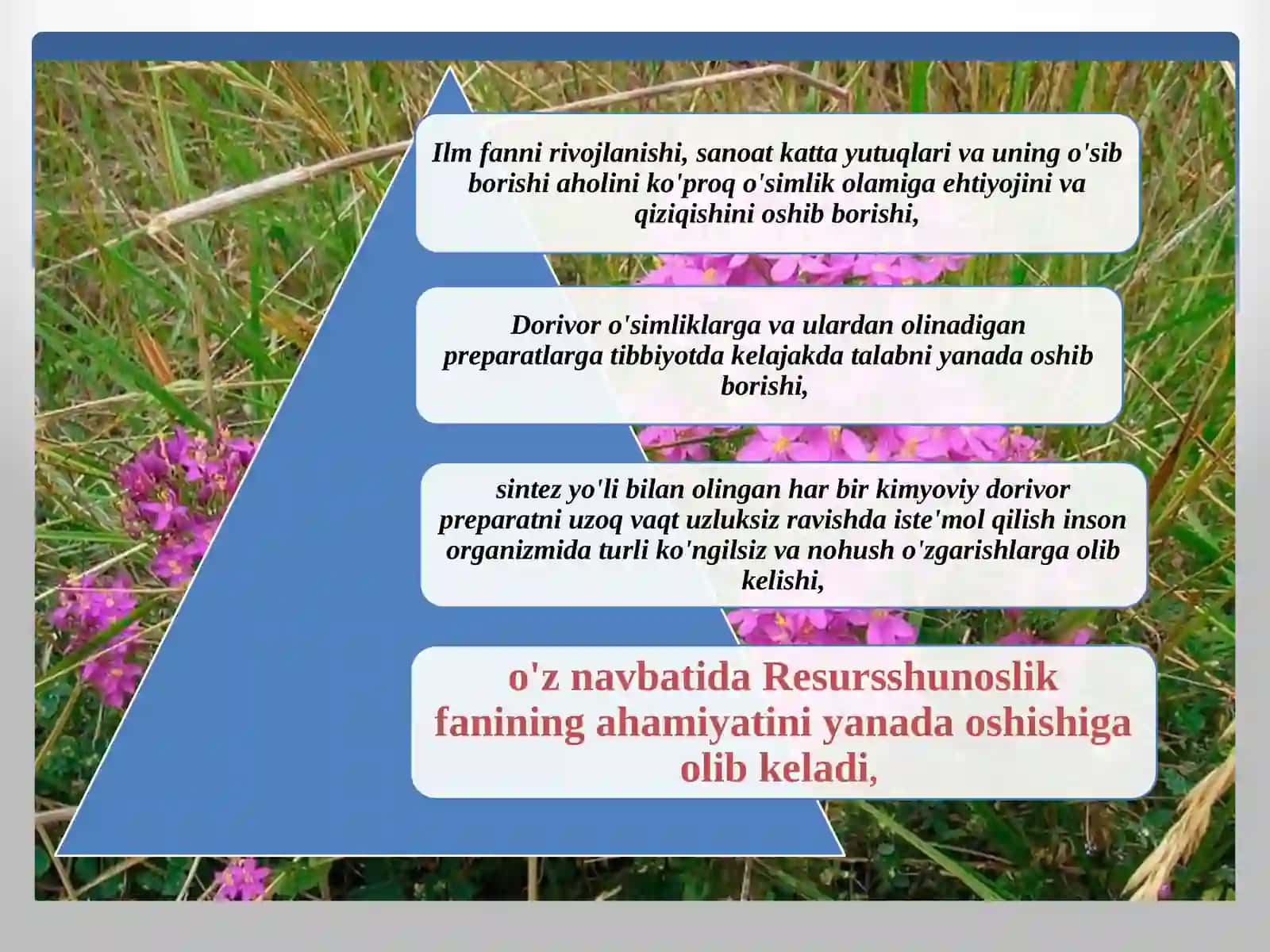 DORIVOR O’SIMLIKLAR RESURSLARI VA MUXOFAZASI 3