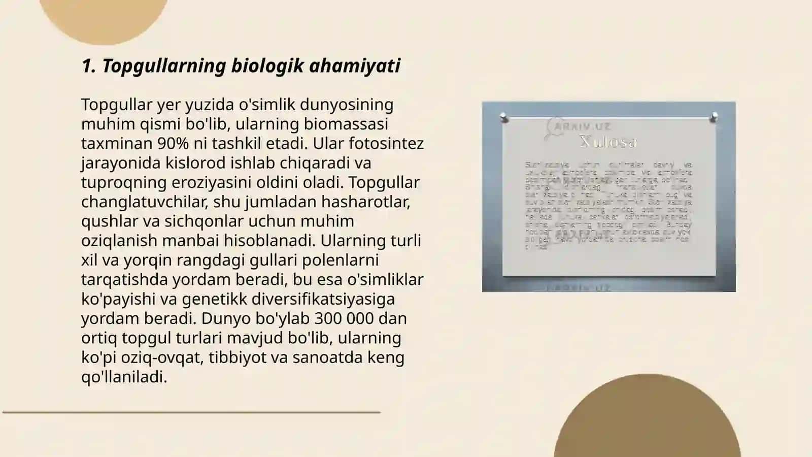 Topgullar va ularning klassifikatsiyasi 3