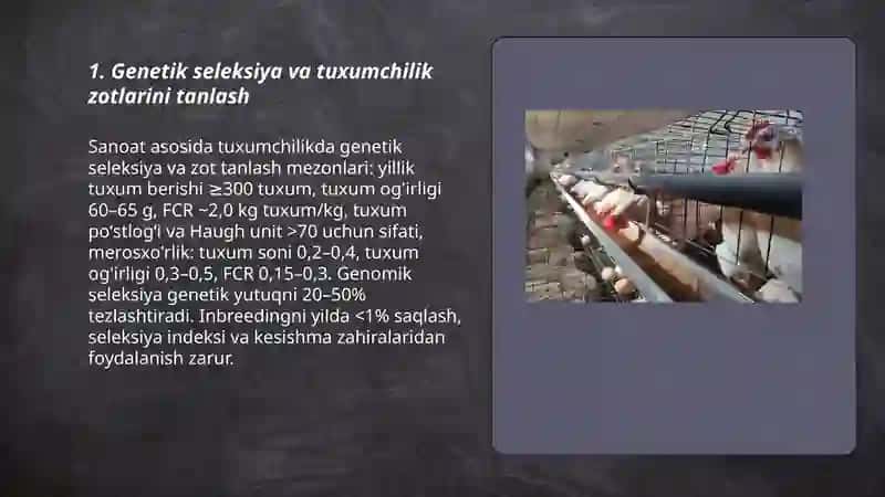 Sanoat asosida tuxum yetishtirish texnalogiyasi 3