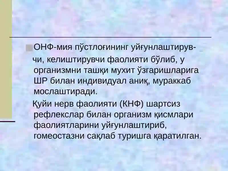 Олий асаб фаолияти (ОНФ) 3