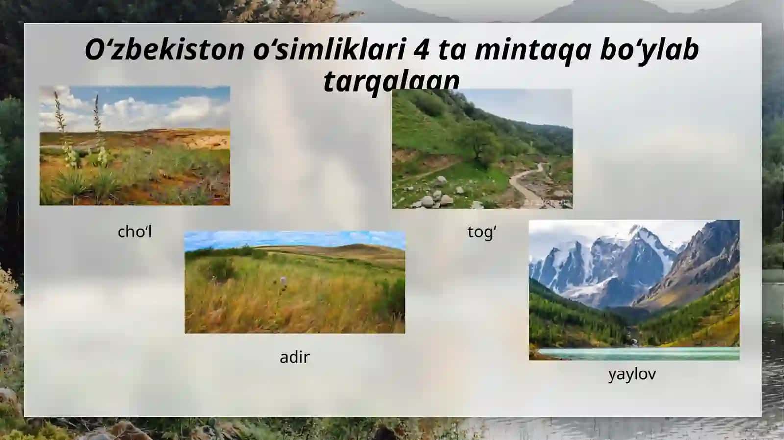 O‘simliklar va mintaqalar 3