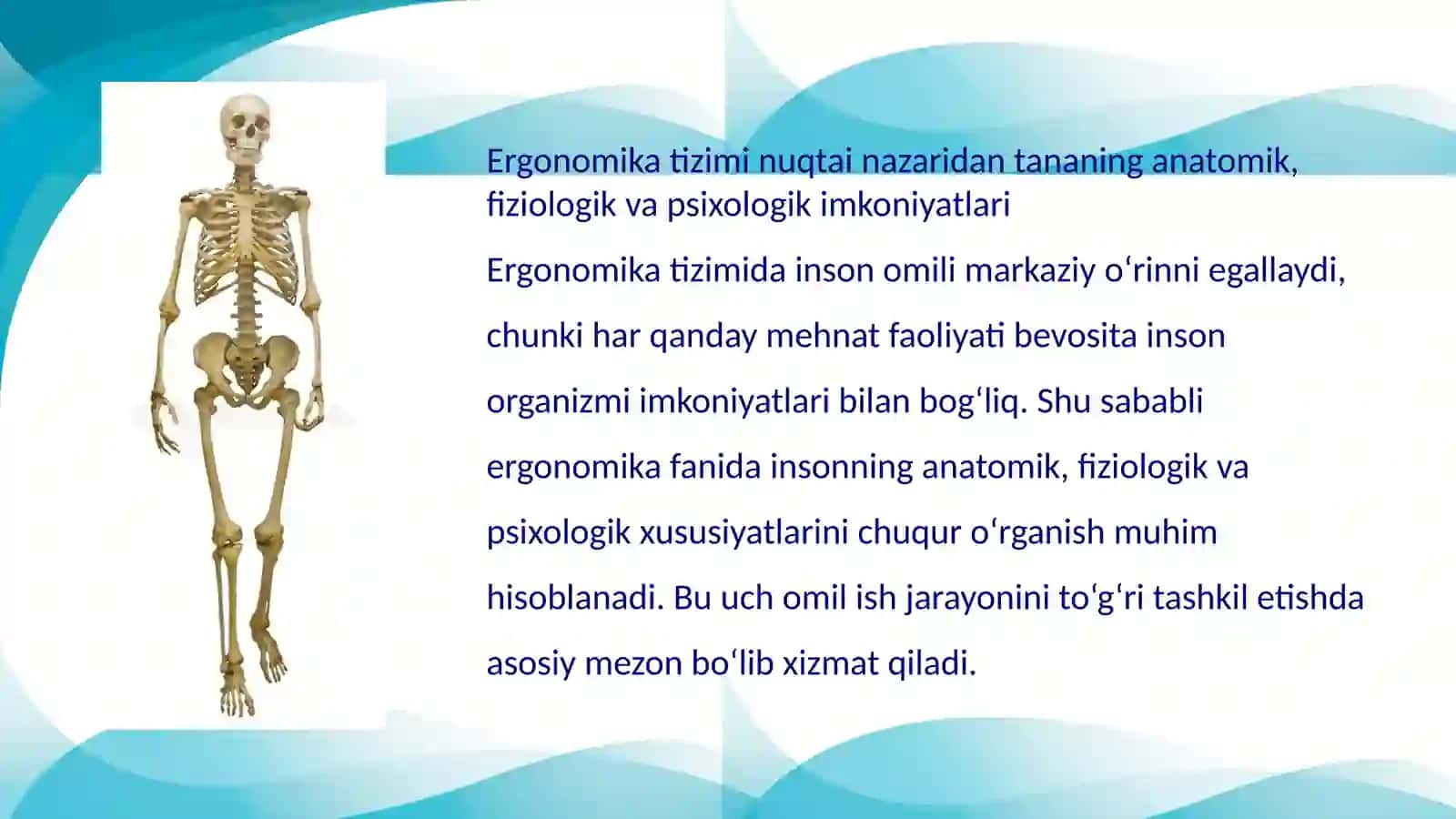 Ergonomik tizim nuqtai nazaridan tananing anatomik, fiziologik va psixologik imkoniyatlari 3
