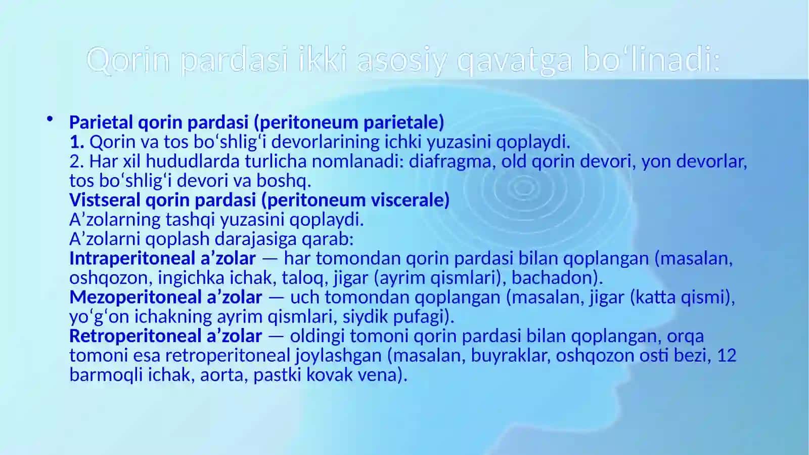 QorinPardasi 3