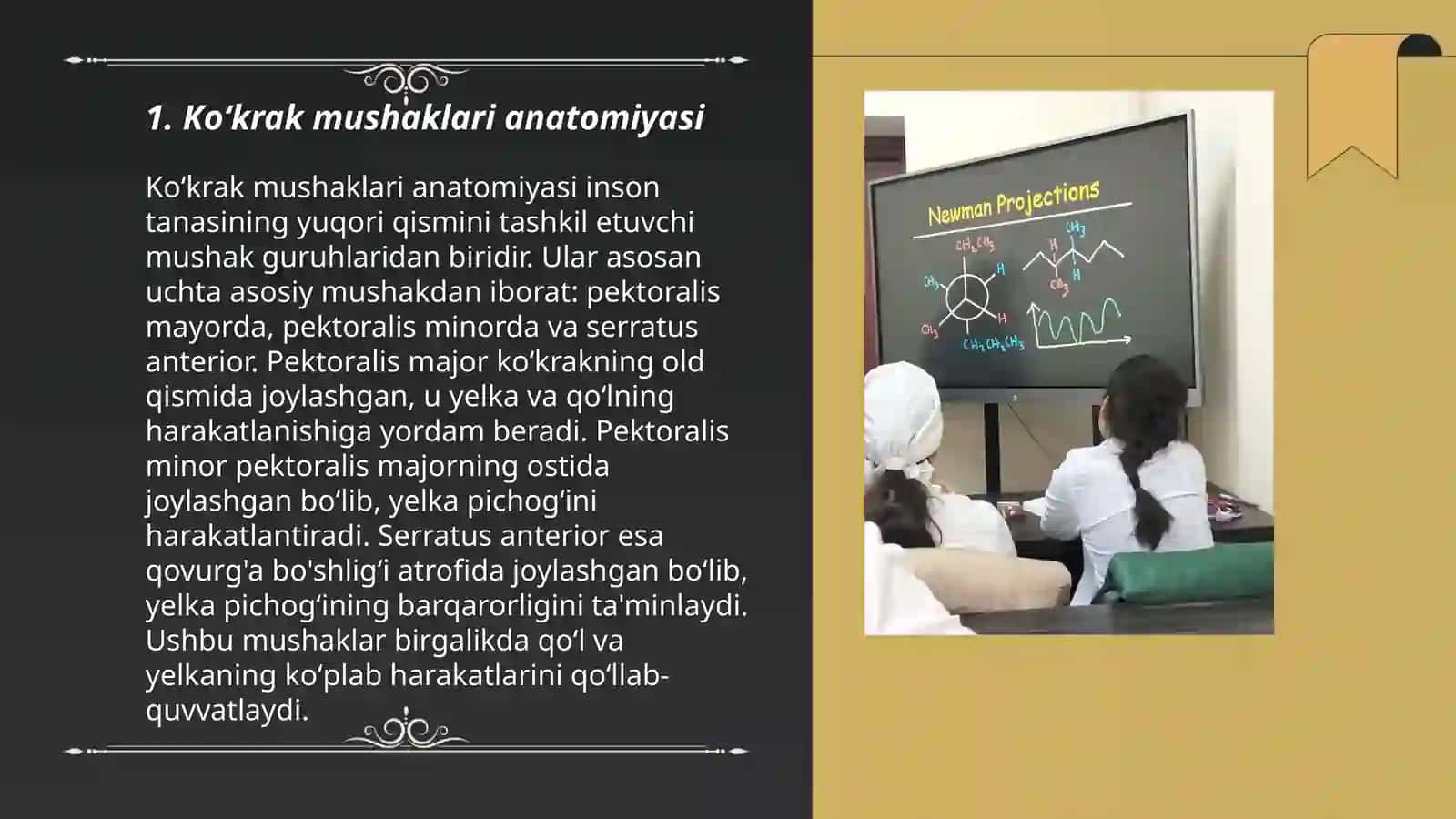 Koʻkrak mushaklari. Diafragma. Qorin mushaklari 3