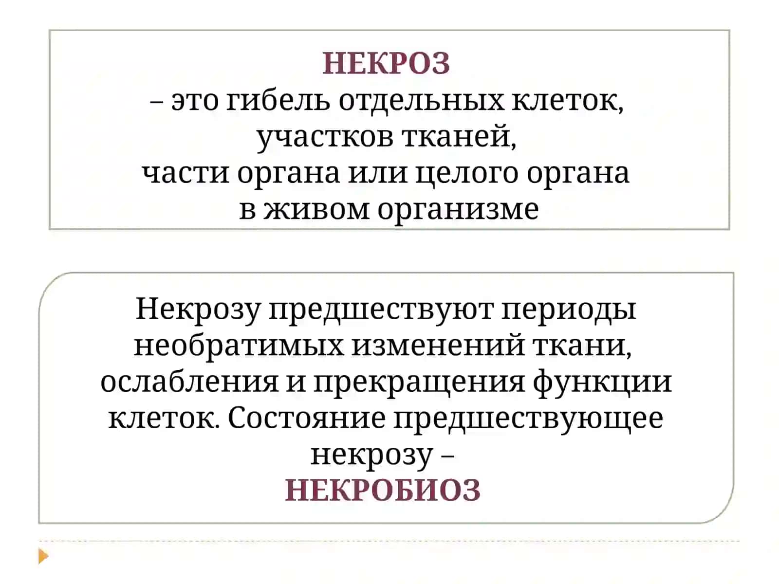 НЕКРОЗ, АТРОФИЯ, АПОПТОЗ 3
