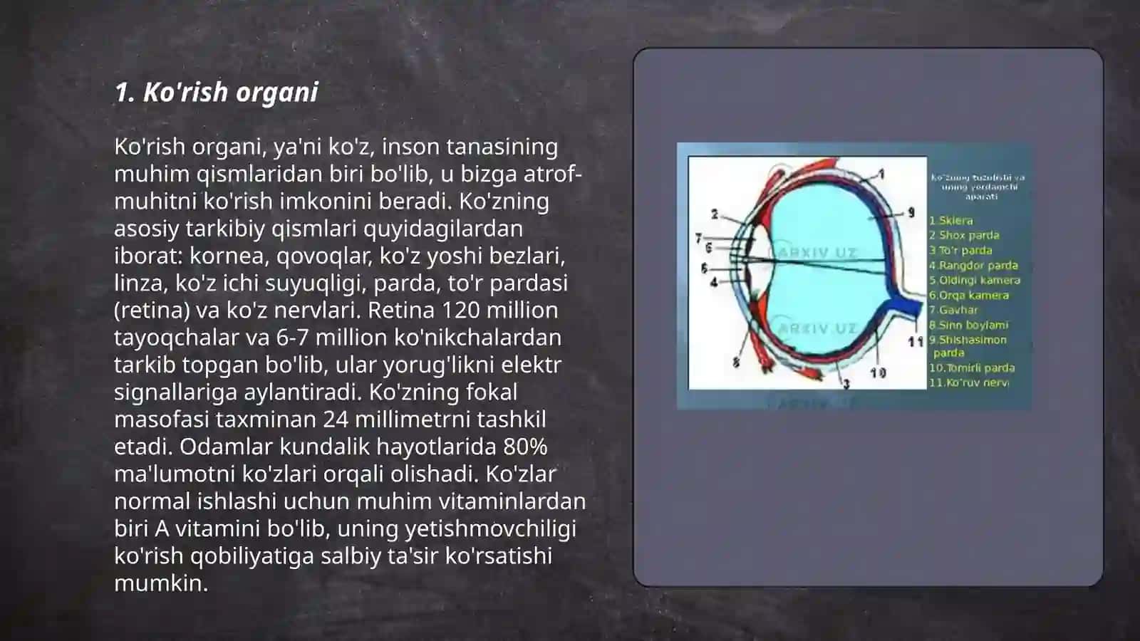 Sezgi azolari 3
