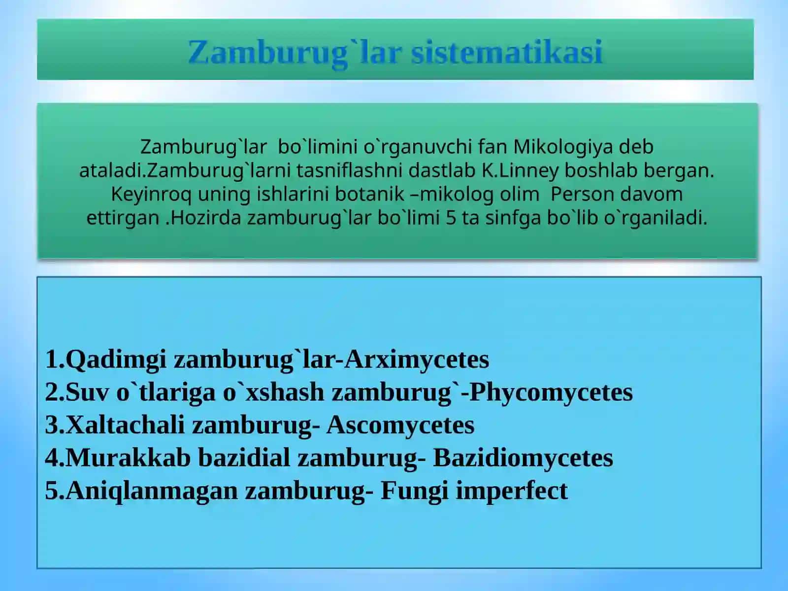 Zamburug’lar morfologiyasi, tuzilishi va ko’payishi 3