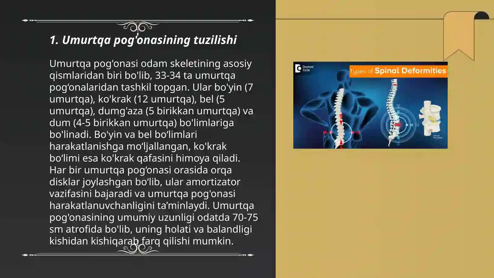 Umurtqa pog'onasi qovurg'a tosh o'mrov 3