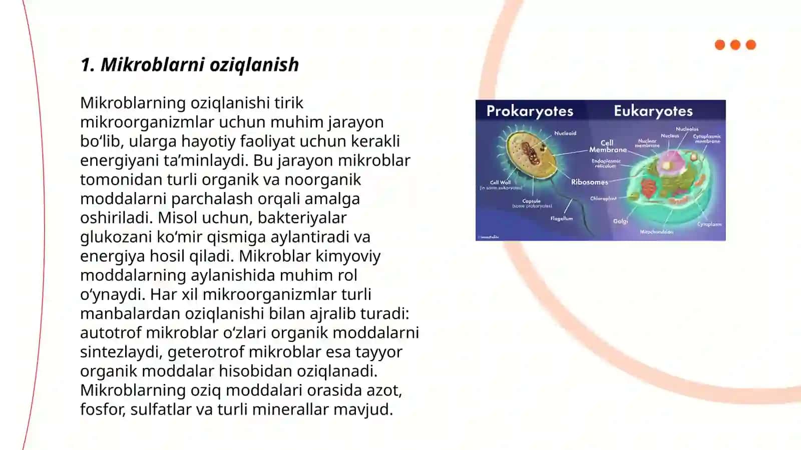 Mikrob hujayralari Metopalizm 3