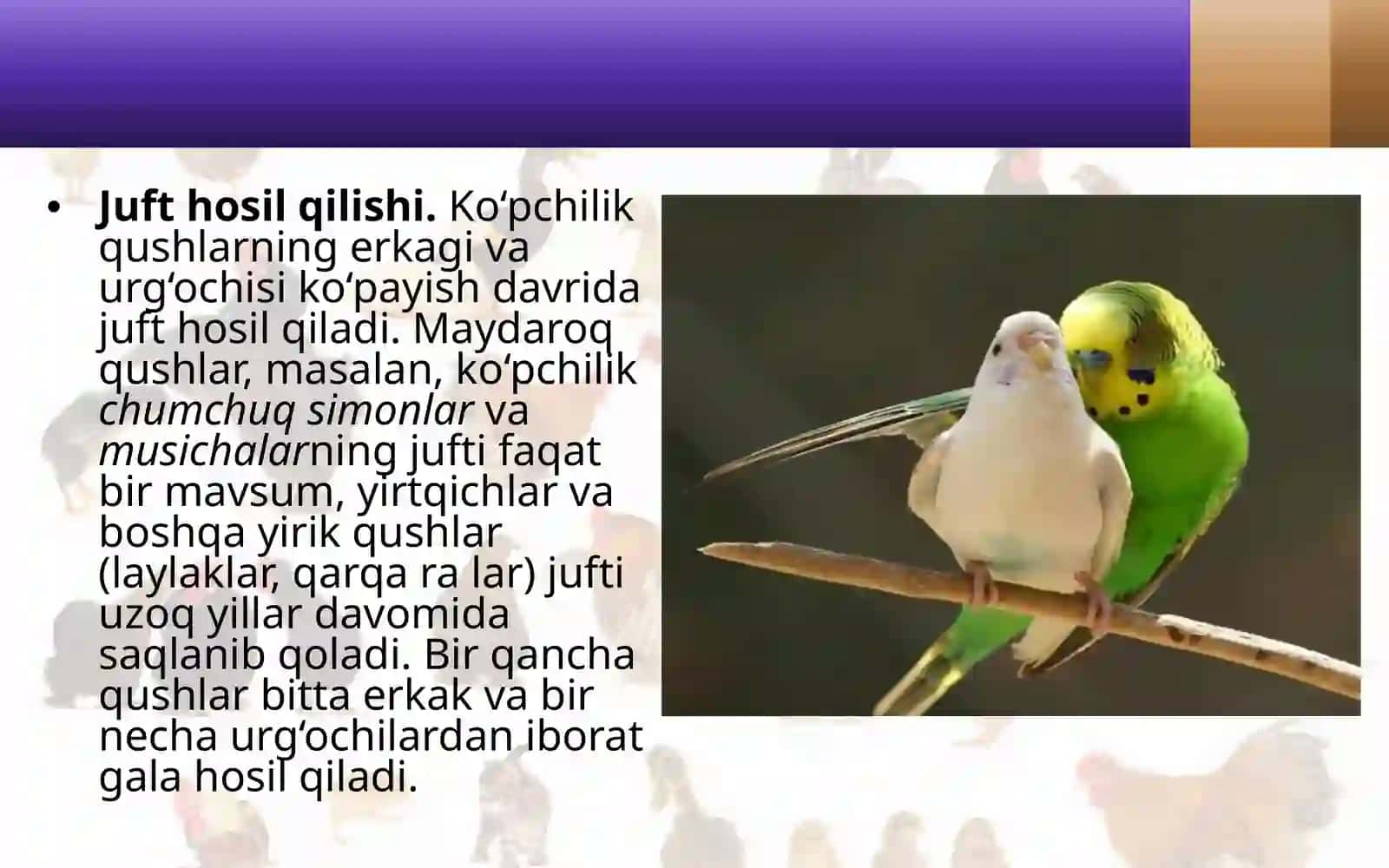 Qushlarning ko‘payishi, rivojlanishi va kelib chiqishi 3