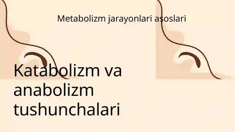 Katabolizm va anabolizm tushunchalari 3